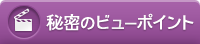 秘密のビューポイント