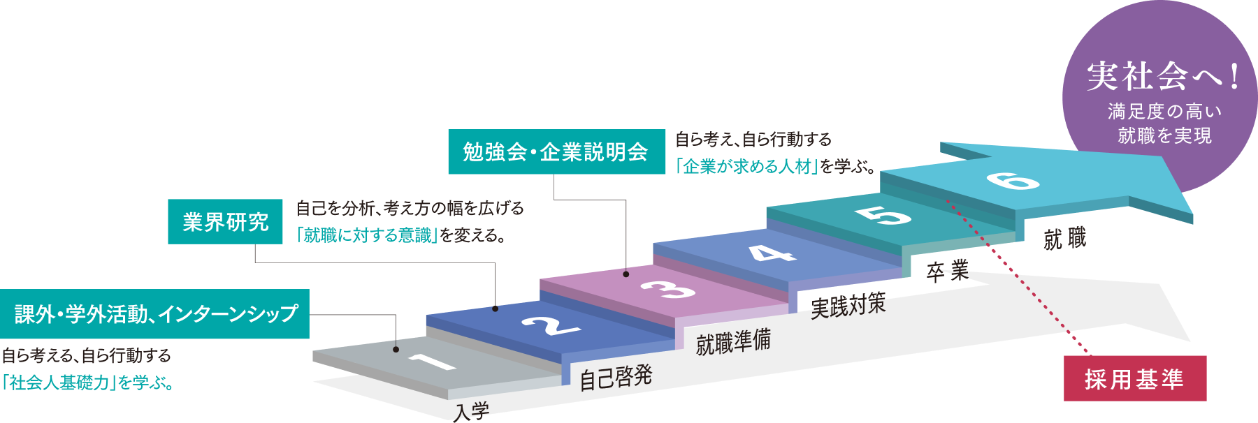 実社会へのステップイメージ