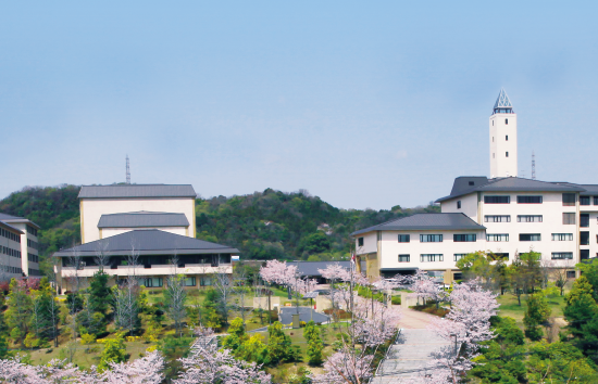 大学概要イメージ